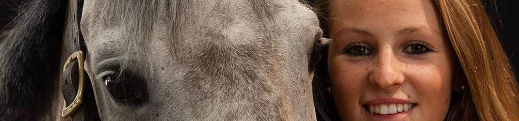 Marie Caroline Brisoux photo de cheval et poney