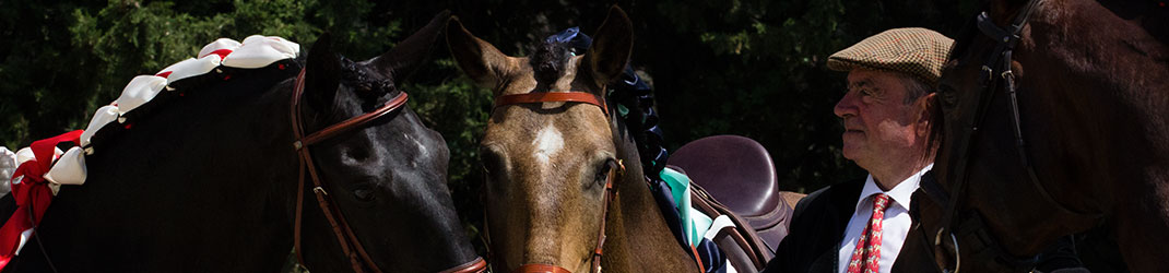 Marie Caroline Brisoux photo de cheval et poney