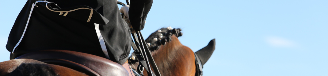 Marie Caroline Brisoux photo de cheval et poney